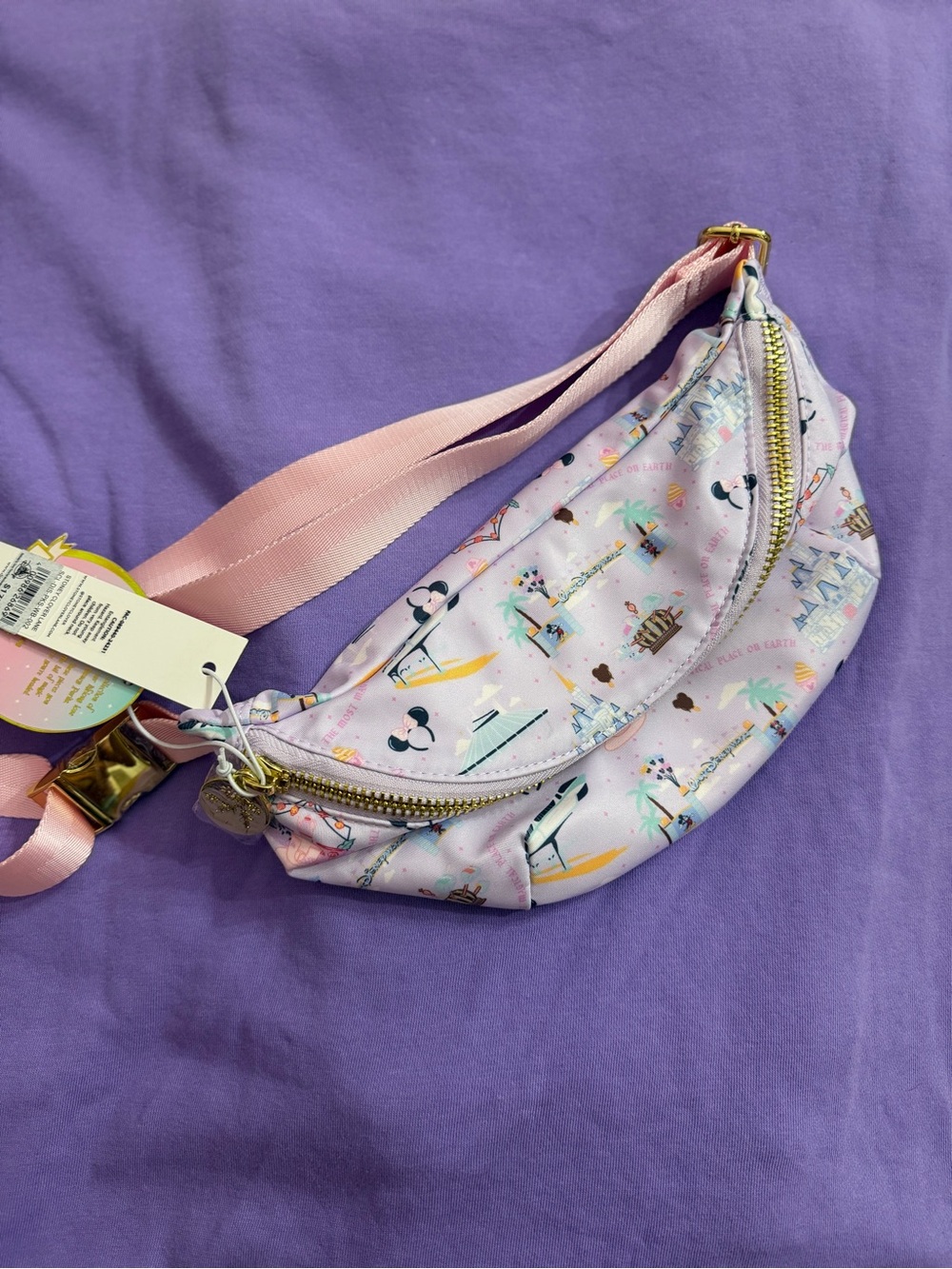 SCL x Disney Parks Walt Disney World Classic Fanny Pack